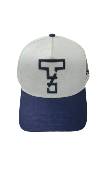 Two Tone Navy Snapback